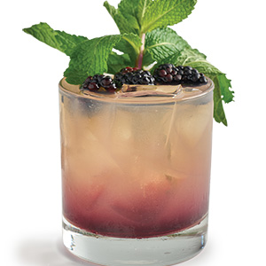 Blackberry Bramble